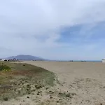 Dumar Puerto Rey